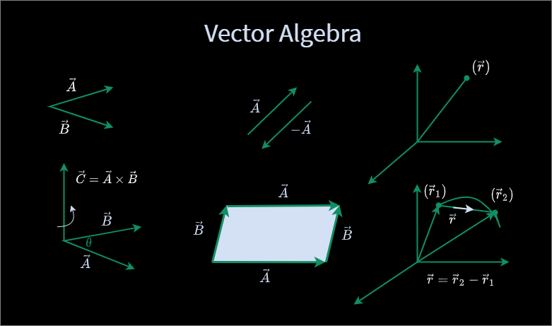 what are vectors in physics?