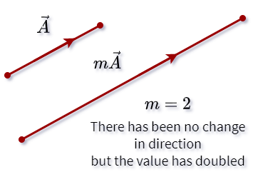 Vector Multiplication by Scalar