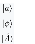 LaTeX ket symbol