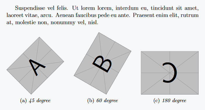 Easiest method is to pass the angle option into includegraphics command.